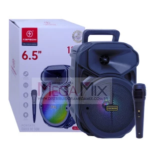 Caixa de Som Portáil Bluetooth com Microfone 6.5" 100W KA-8201 - Kapbom